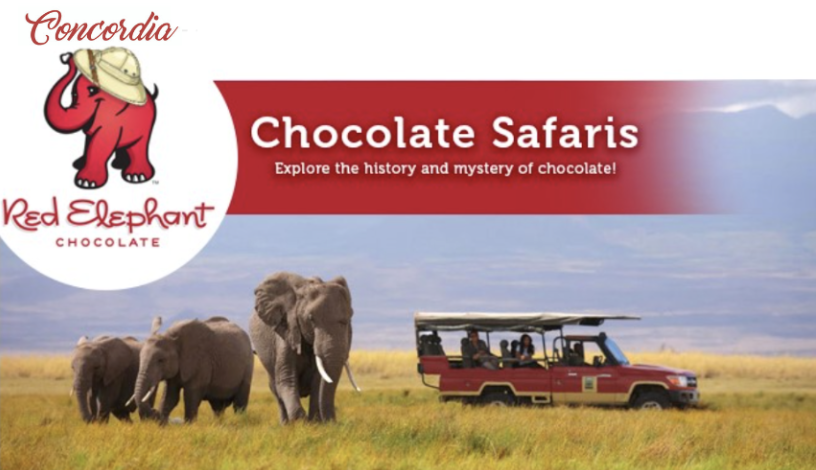 Chocolate Safari